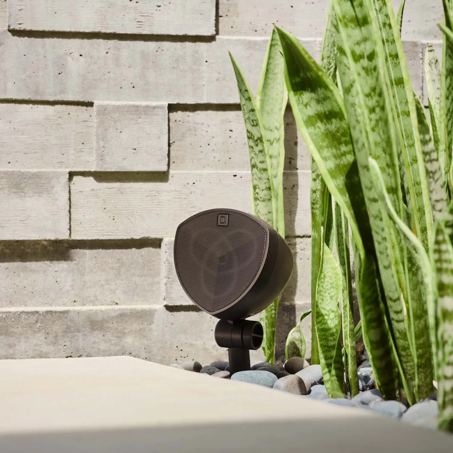 LS-400 speaker half hidden among snake plants against a stacked stone wall